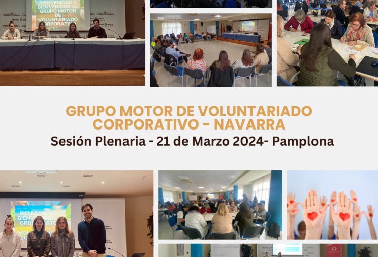 Avances en el Grupo Motor de Voluntariado Corporativo de Navarra: Sesión Plenaria en Pamplona