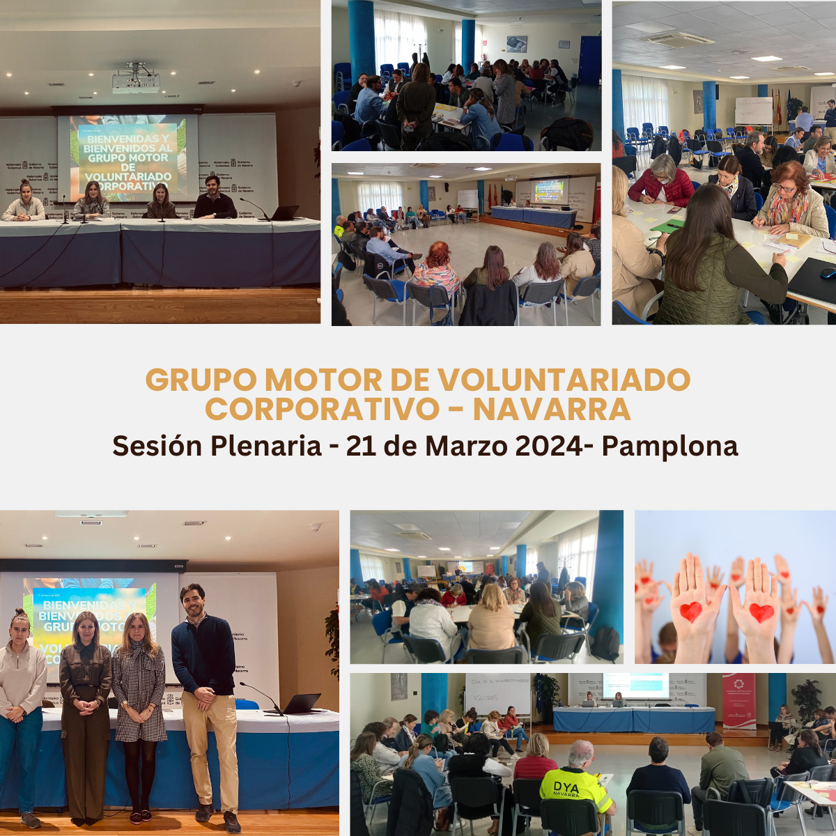 Avances en el Grupo Motor de Voluntariado Corporativo de Navarra: Sesión Plenaria en Pamplona